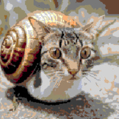 SNAIL BABY