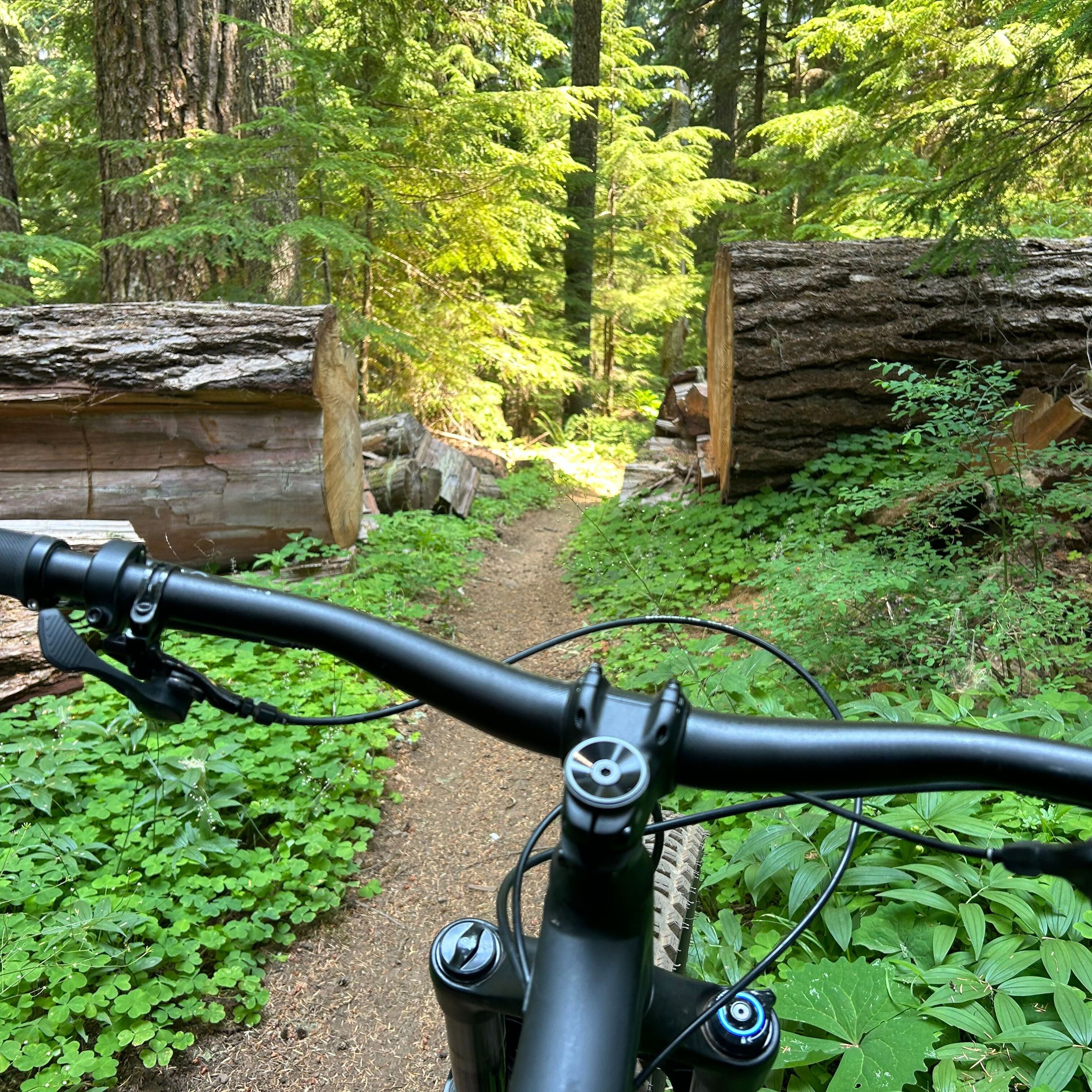 Explore Oregon Podcast: The state\'s most beautiful places and biggest issues