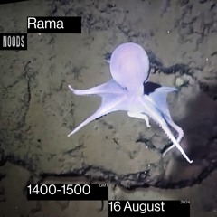 Noods Radio show 063 | 16.08.2024