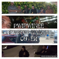 pwipwinee pwipwi nanee cover