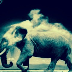 13F - Lyrical Gymnastics