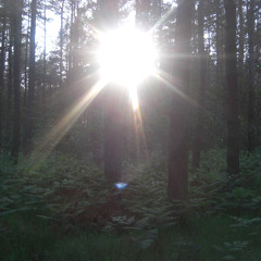 Norwegian Wood