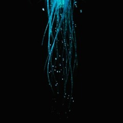 Blue I