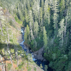 Natural Disaster (prod. by tizone/ hitlanders beats)