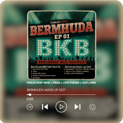 Voices in my head x freaks x love parade x 1234 x hum (Bermhuda Mash Edit)
