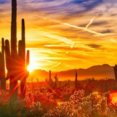 lookin out the window