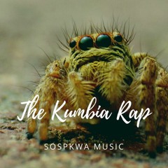 The Kumbia Rap || Cumbia / Boom Bap (USO LIBRE)