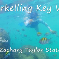 Best Snorkeling At Fort Zachary Taylor Prices Reviews
