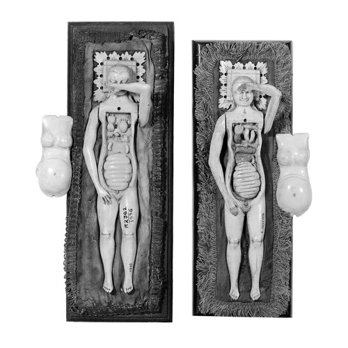 Apples from Peru (feat. Marlene Ribeiro)