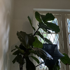 Angel Olsen - Spring - Cover Piano Raw Banget