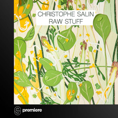 Premiere: Christophe Salin - Let's Go Deep - Salin Records