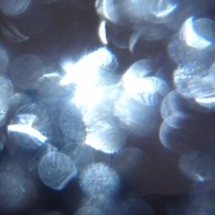 II
