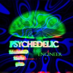 Recorded Psychedelic & Goa-Trance Mix - Set ॐॐॐ °|° Psychedelic-Engineer© °|° ॐॐॐ @ 30052024