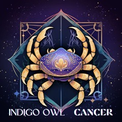 Indigo Owl - Cancer