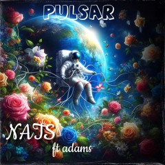 NATS -ADAMS -PULSAR