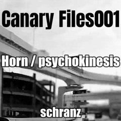 Psychokinesis [Canary Files​:​001 Horn / psychokinesis]