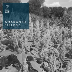 Amaranth Fields