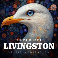 Shiva Rudra - Time To Go Back ( from Albom Livingston )