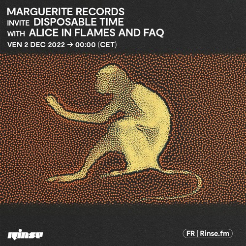 Marguerite Records invites Disposable Time with Alice in Flames and FAQ - 02 Décembre 2022