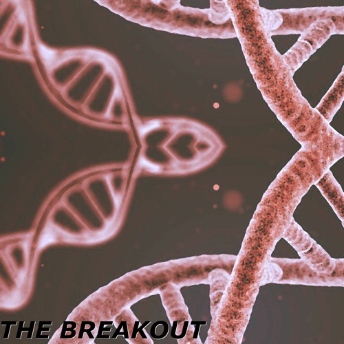 The Breakout (Original Mix)