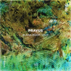 Pravus - Blank Room Soup [VPFD2.8]