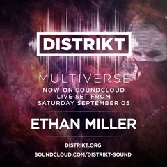 Ethan Miller - DISTRIKT Sound - Virtual Burning Man 2020