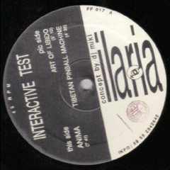 DJ MIKI The Dolphin Feat. Ilaria - Anima