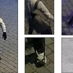 WBAL News Now in Depth DC Pipe Bomb Suspect Arrested