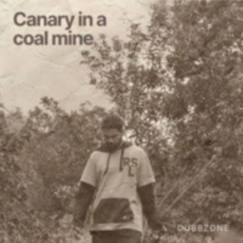 Canary in a coal mine - Dubbzone