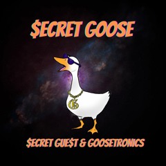 $ECRET GOOSE_GooseTronics feat. $ecret Gue$t