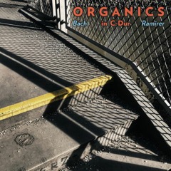 02 rectus (sample)
