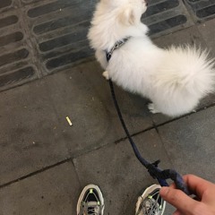 (hdmix.vn) Cảnh Vẫn Thế 2021 - Rambo Mix