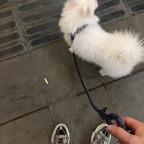 (hdmix.vn) Cảnh Vẫn Thế 2021 - Rambo Mix