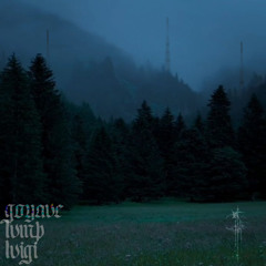 𝔟𝔲𝔯𝔰𝔱.