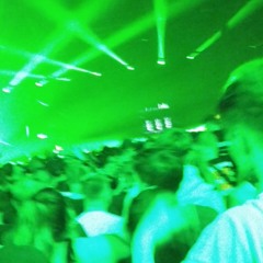 Flustruid