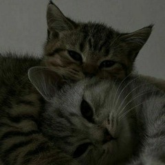 يابعد هالقلب