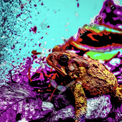 Toad Finesse Movez [FREE]