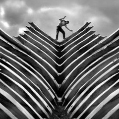 Yeni bir Başlangıç