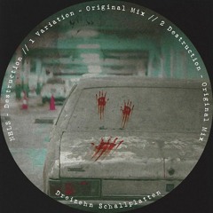 NHLS - Variation [Cut] Dreizehn Schallplatten