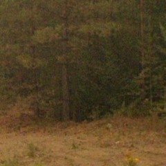 V1ZjMWRtUkhhR3hqYVVKM1dsaEtiVnBYVGpCSlNHUjJZMjF6WjJJeVdXZFpXRW93