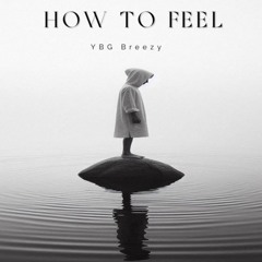 HowtoFeel¿ [Official Audio]