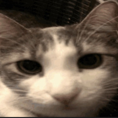 myfuckingusernameisCatsmokescig4 me in Roblox ((My own bypassed audio))