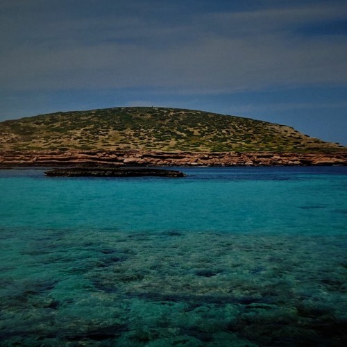 Island Flux
