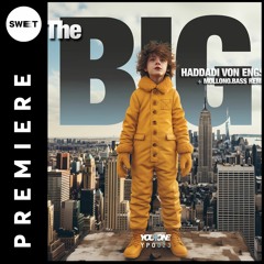 PREMIERE : Haddadi Von Engst - The BIG (Mollono.Bass Remix) [You Plus One]