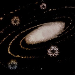Magnetic Flowers In The Sky