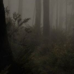 Dark Thoughts (prod. aureola)