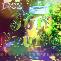 DJCZ - Sun Pruno (feat. Moon Hooch x Andrew Huang)