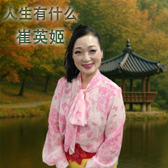 人生有什么
