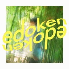 PREMIERE: edoken - hypnoglitch [The Tabula Rasa Record Company]