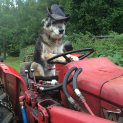 TRACTOR DAWG (CLIP)
